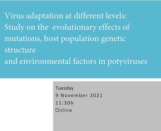 Virus adaptation at different levels: Study on the evolutionary effects of mutations, host population genetic structure and environmental factors in potyviruses